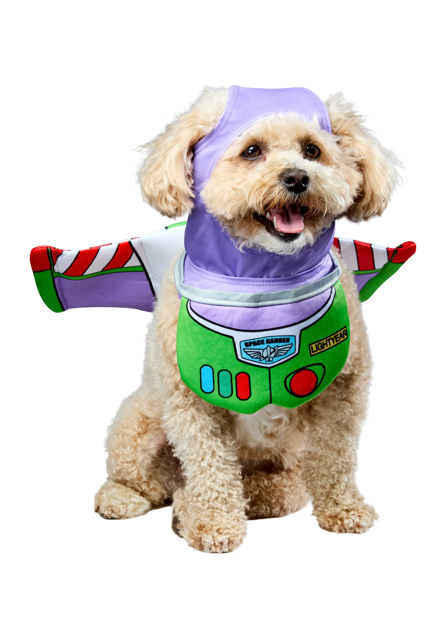 Disney Costumes